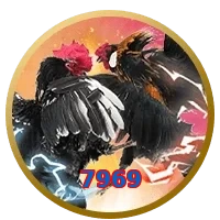 7969